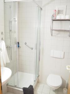 a bathroom with a shower and a toilet and a sink at Apartment am Christopherhof in Grafenwiesen +25 photos