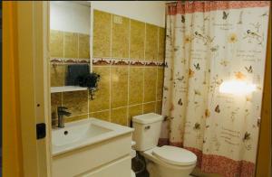 a bathroom with a toilet and a sink and a shower curtain at Confortable in San Isidro