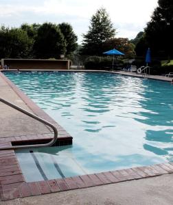 a large swimming pool with a hose in the water at Rustic Tree Top Cabin in Sky Valley, Georgia in Sky Valley