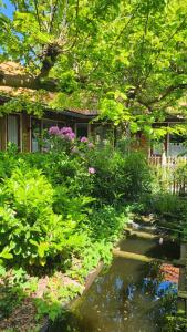 a garden with flowers and a pond in front of a house at 't Zwanennest in Egmond aan den Hoef
