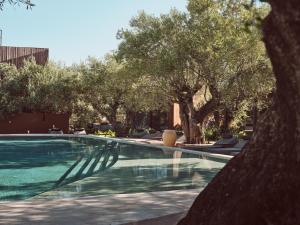 a swimming pool with trees in the background at Prosilio olive tree houses in Tsilivi
