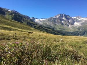 Paesaggio naturale nelle vicinanze della locanda