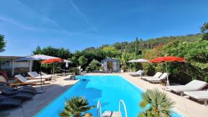 a swimming pool with lounge chairs and umbrellas at La Bergerie Du Moulin - Espace sans enfants in Taradeau