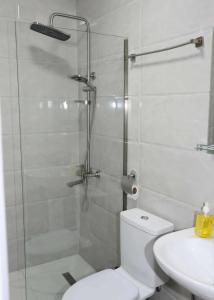 a bathroom with a shower and a toilet and a sink at მეშვე, MESHVE in Tsʼageri