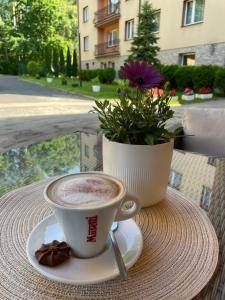 a cup of coffee on a table with a flower pot at Trojak Mysłowice in Mysłowice