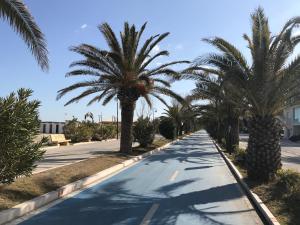 a road with palm trees in a parking lot at Appartamenti Medusa in Alba Adriatica