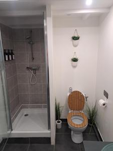 a bathroom with a toilet and a shower with plants at LA PETITE MAISON in Beauvais +20 photos
