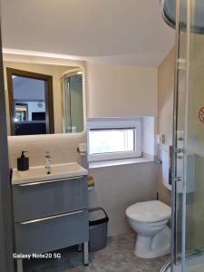 a bathroom with a toilet and a sink and a mirror at CASA ARYAN in Sînpetru +23 photos