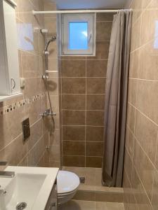 a bathroom with a shower and a toilet and a sink at Eliksir 2 in Gornja Trepča