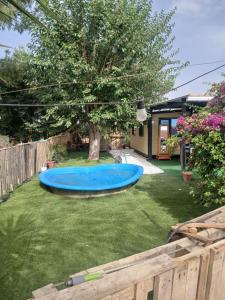a backyard with a blue tub in the grass at La Casita in Seville