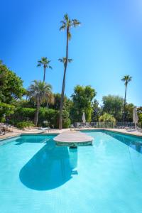 a large swimming pool with palm trees in the background at Festival de Cannes résidence de luxe piscine tennis in Vallauris