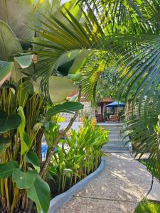 a garden with many plants and a pathway at Lantis Corp Inn in Sengkol +17 photos