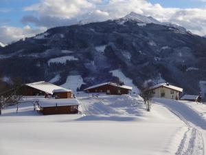 Bergbauernhof Oberhasenberghof im Winter