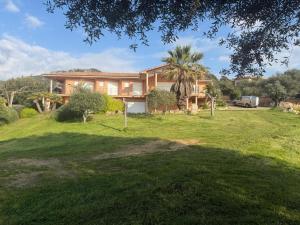 a house with a large yard in front of it at sci marie dominique in Olmeto