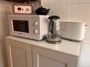 a microwave sitting on top of a kitchen counter at Aurora in Teruel +6 photos