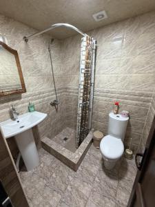 a bathroom with a shower and a toilet and a sink at ElMar Guesthouse in Sevan