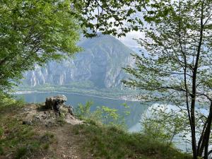 a view of a lake from a hill with trees at Rosa dei Venti - Como Lake House in Valmadrera