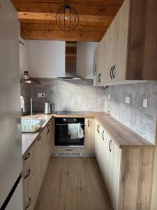 a small kitchen with wooden cabinets and a sink at Pallov Dvor in Lutiše