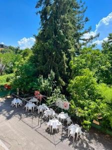 a group of tables and chairs in front of a tree at Hotel Ludovici in Fiuggi