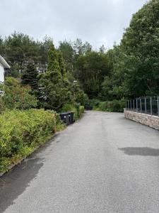 eine leere Straße mit einem Zaun und Bäumen in der Unterkunft Between The Trees 2 in Agnesberg