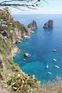 a view of a bay with boats in the water at Suite 64 in Saviano