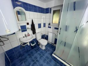 a blue and white bathroom with a toilet and a sink at Chata u pltníka Paľka in Podbiel +25 photos