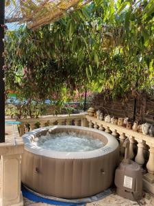 a hot tub in the middle of a garden at Gîte du grand braquet in Puget-Théniers