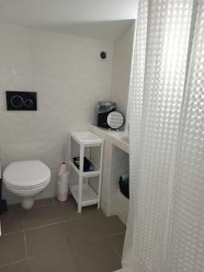 a bathroom with a toilet and a shower curtain at Gîte du grand braquet in Puget-Théniers