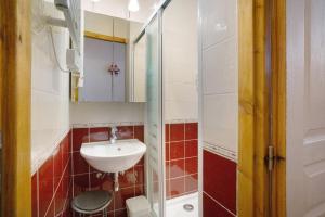 a bathroom with a sink and a mirror at Studio cabine - Les ecrins 2 in Valloire