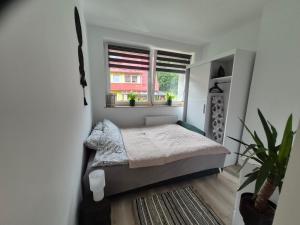 a small bedroom with a bed and a window at Sowi Zakątek in Jugów +20 photos
