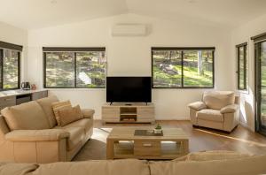 a living room with a couch and a tv at Oakey Creek Retreat in Gheerulla
