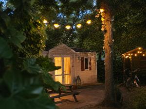 a small wooden cabin with a bench and a tree at The Red Shutter Cottage in Hattemerbroek +14 photos