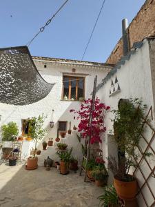 a building with potted plants on the side of it at Casa Ana in Monóvar