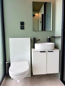 a white bathroom with a toilet and a sink at Brennvika Panorama in Hamarøya