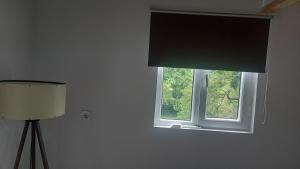 a window with a green curtain in a room at Jonson in Poti