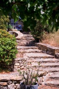 a stone path in a garden with a plant at Chambres à la Table du Curé in Cucugnan +18 photos