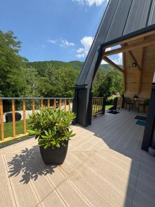 a wooden deck with a potted plant on a house at NOOR A-frame Sibiu in Gura Râului