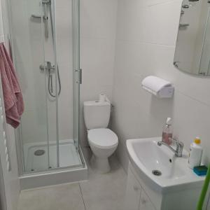 a bathroom with a shower and a toilet and a sink at Domki nad Nidą in Wiślica +12 photos