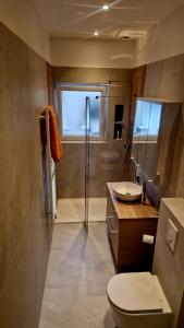 a bathroom with a toilet and a sink and a shower at Studio cosy avec jacuzzi , sauna et salle de sport in Vallauris +21 photos