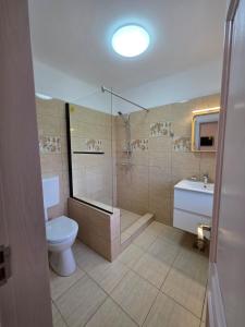 a bathroom with a toilet and a shower and a sink at Urban Nest in Călimăneşti