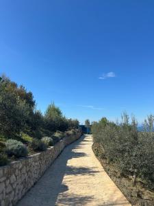 a stone path next to a retaining wall at Rodon Blue Villa in Shetaj