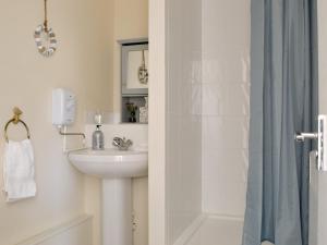 a bathroom with a sink and a shower at Mango Pony's Bothy - Uk31959 in Dibaig