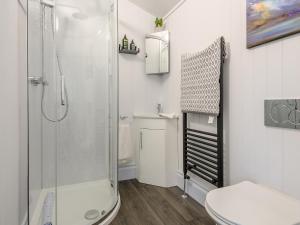 a white bathroom with a shower and a toilet at The Pavilion in Swaton +8 photos