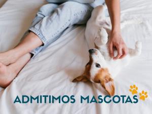 a person laying on a bed with a small rabbit at Apartamentos Los Almendros 3000 in Oropesa del Mar