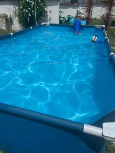 a large blue pool with a metal coping on top at Virajlux Verde Retreat in Mioveni