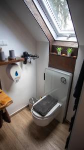 a bathroom with a toilet with a skylight at Ferienwohnung Xantener Südsee in Xanten +59 photos