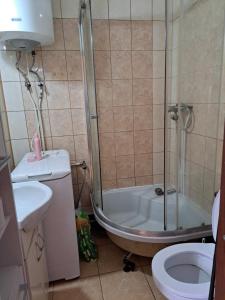 ein Badezimmer mit Dusche, Toilette und Waschbecken in der Unterkunft BIAŁA GĘś in Świnoujście