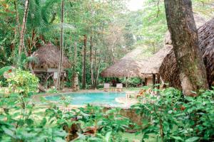 a resort with a swimming pool in a forest at Natura Cabana Boutique Hotel & SPA in Cabarete