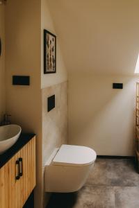 ein Badezimmer mit Toilette und Waschbecken in der Unterkunft Otuli in Ćmińsk + 45 Fotos