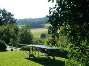 a ping pong table in the middle of a field at Apartment Ferienhüsli by Interhome in Siglistorf